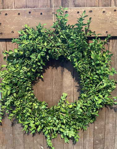 "20 Boxwood Wreath